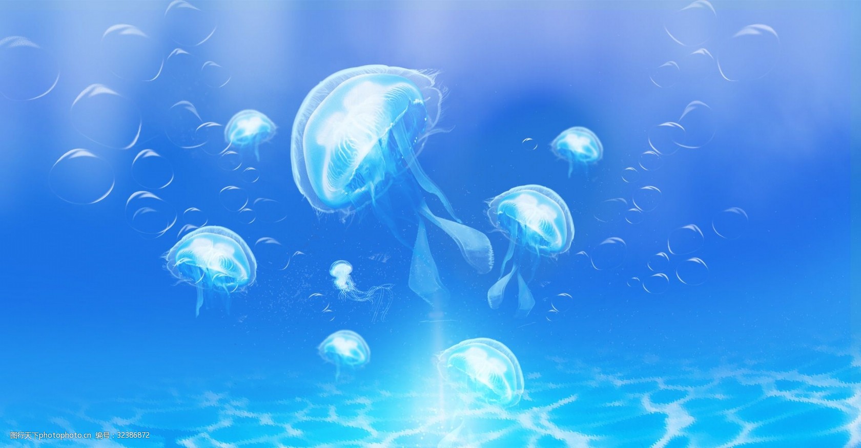 海底 生物 高清 水母 梦幻 大群水母 大海 海报 海洋 蓝色 背景
