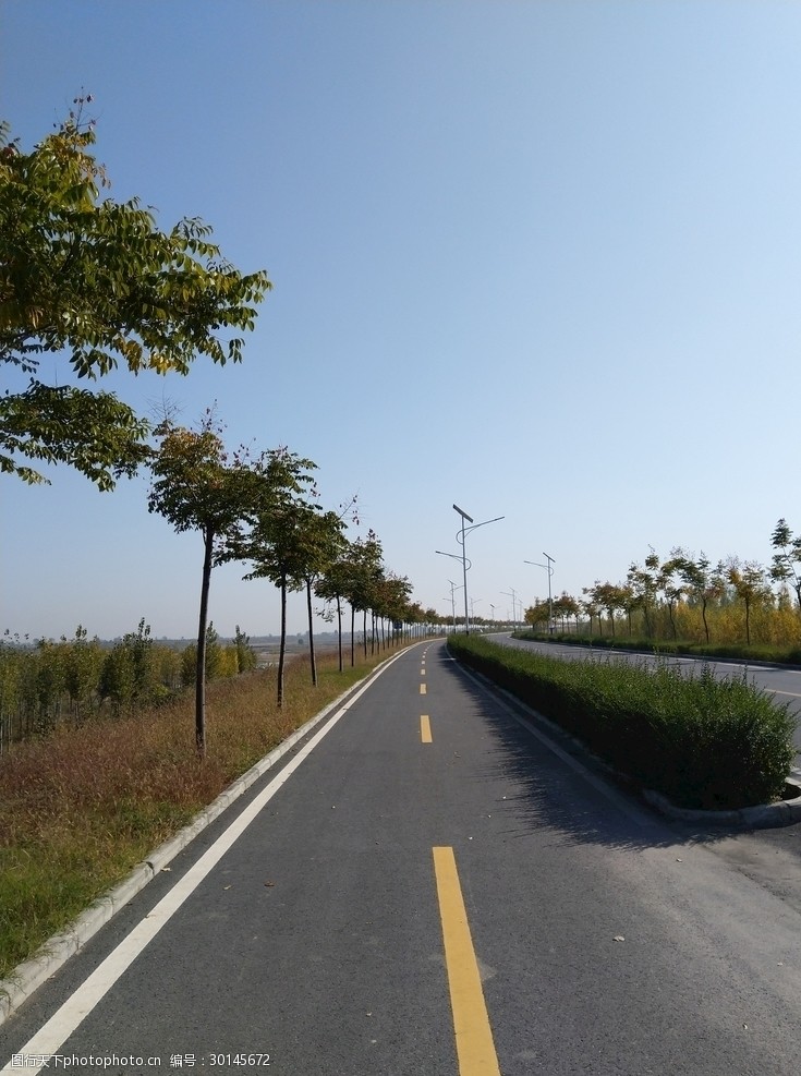 乡村 树木 蓝天 枯草 美景 道路 乡村风采 摄影 自然景观 自然风景 72