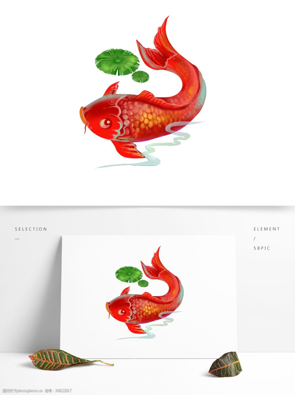 锦鲤 鲤鱼 大鱼 年年有余 鱼 新春锦鲤 红色的鱼 水 新春吉祥物