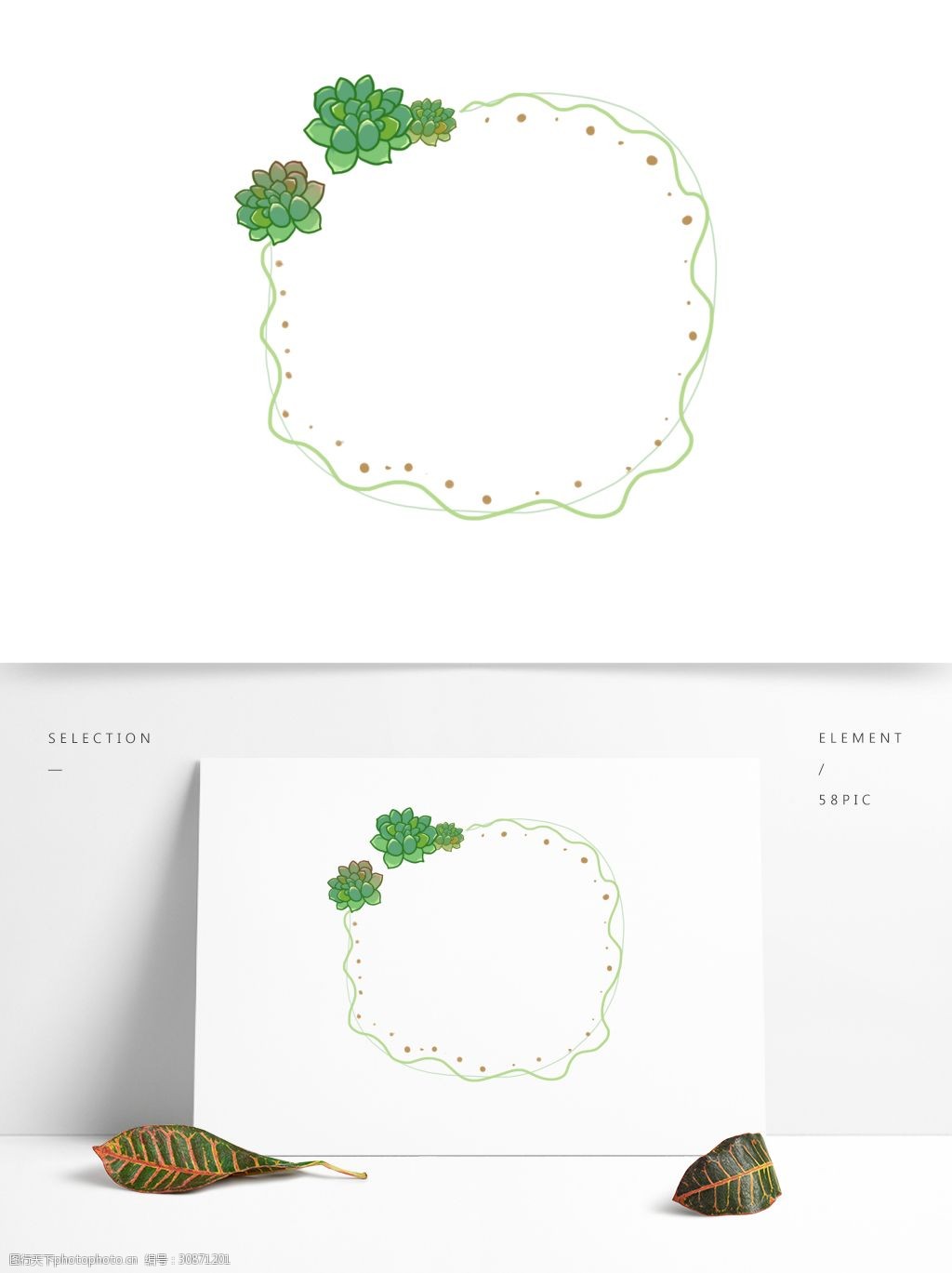 手绘卡通植物边框手绘可爱多肉植物边框