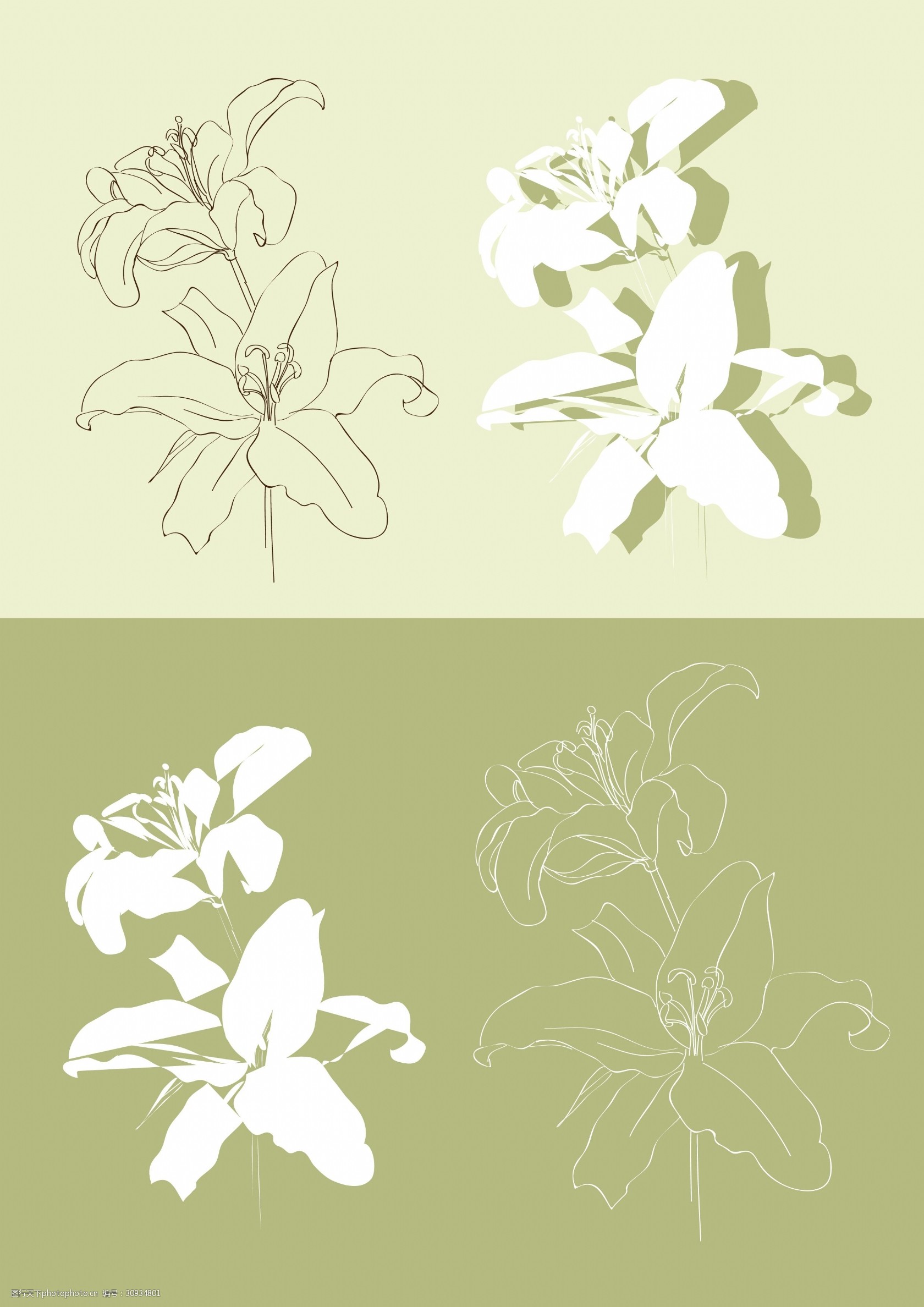 百合花手绘白描鲜花大自然矢量图小清新植物