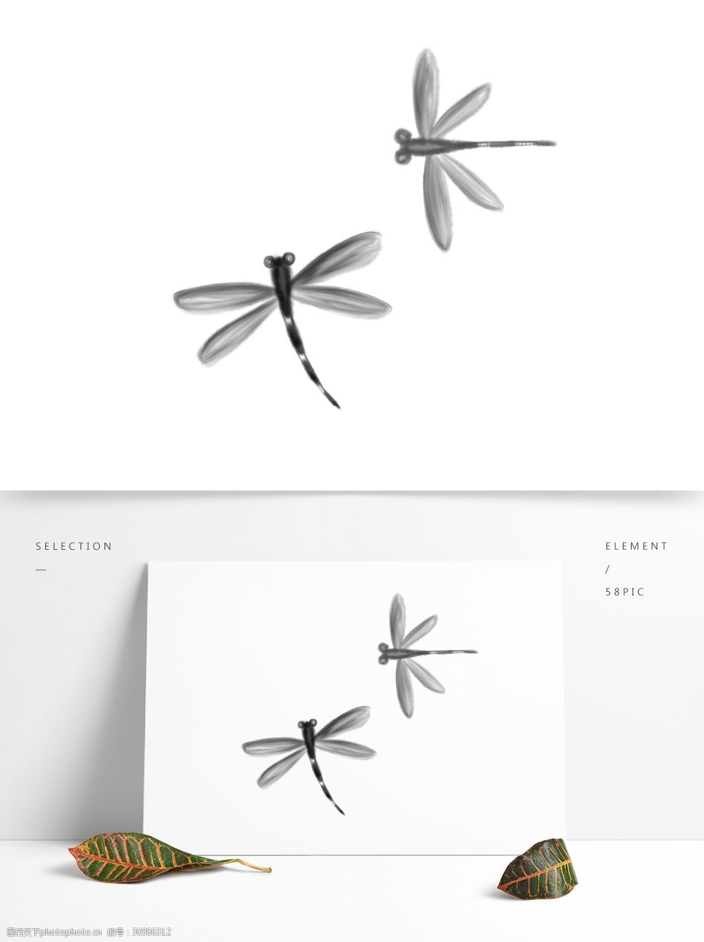 关键词:原创手绘国画蜻蜓昆虫 国画风 昆虫 蜻蜓 水墨画 水彩