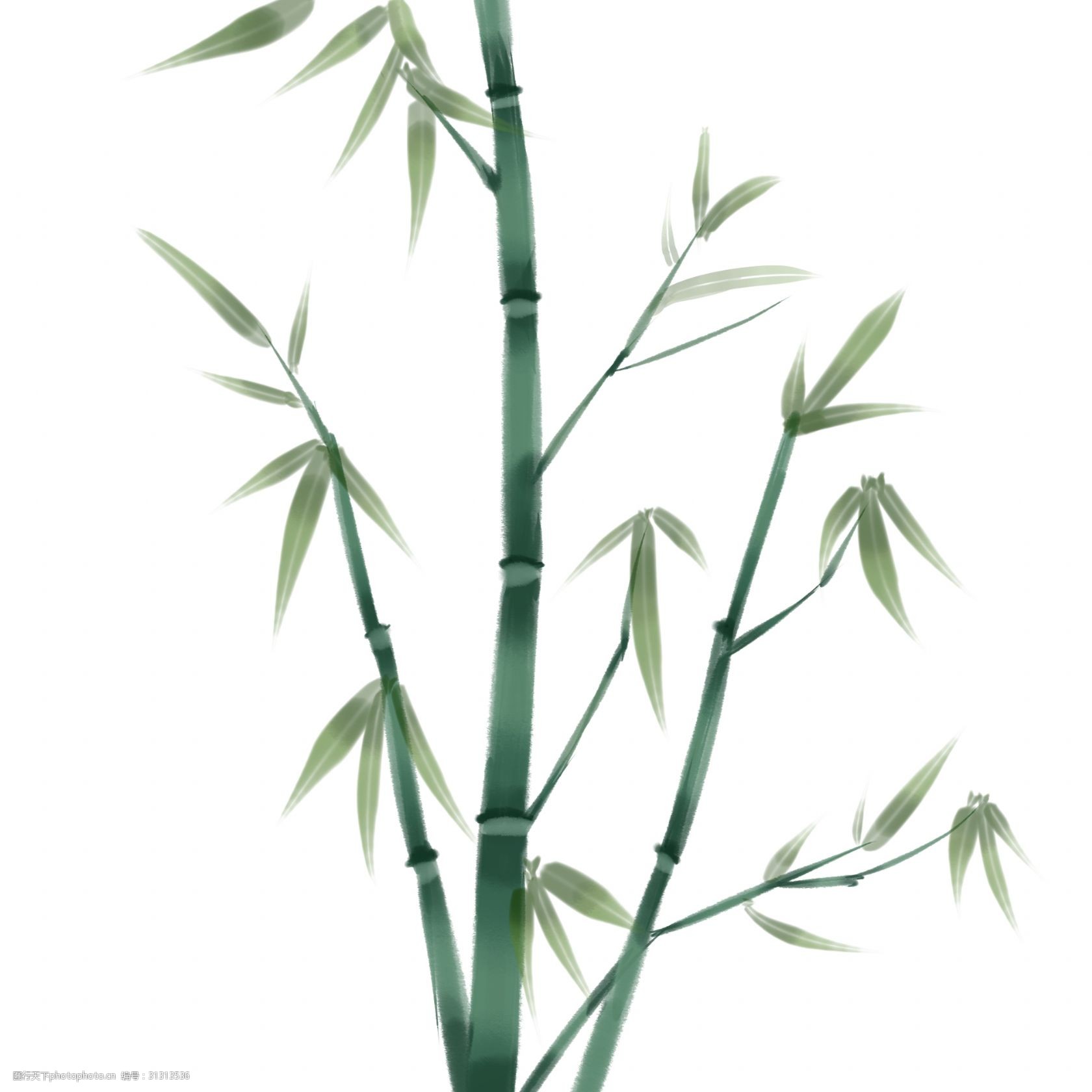 关键词:水墨绿色竹子插画 竹叶 叶子 中国风 水墨画 植物 水墨竹子