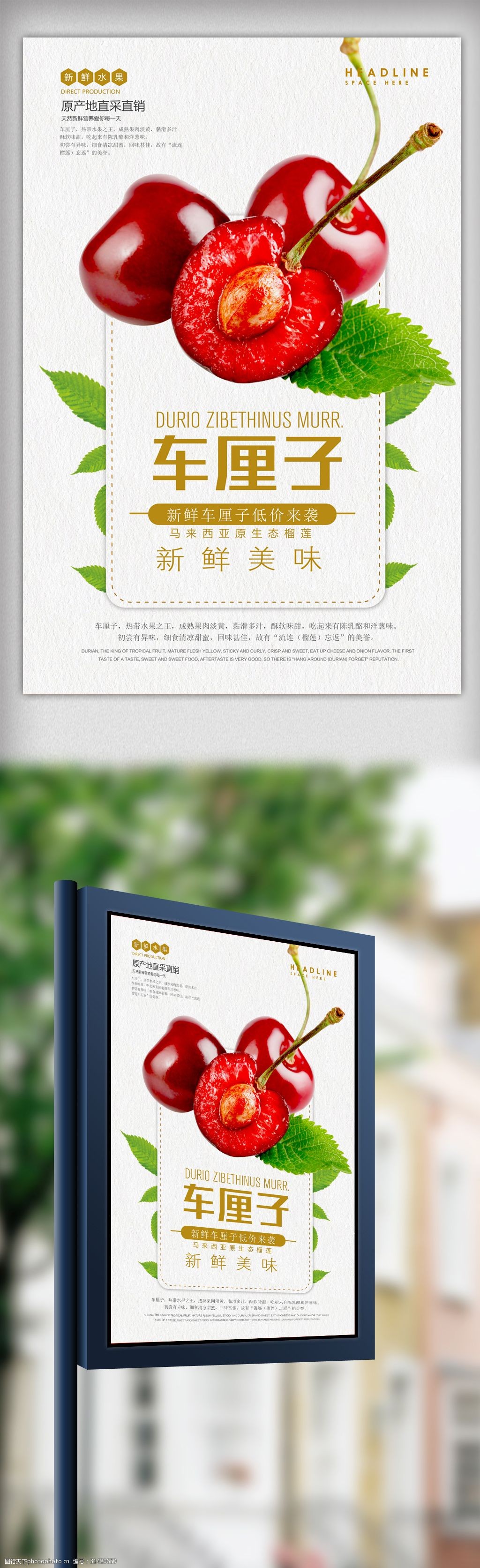 小清新车厘子促销海报设计