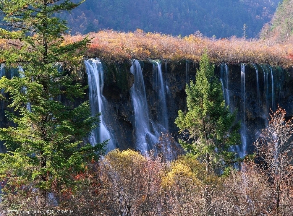 清新自然风景