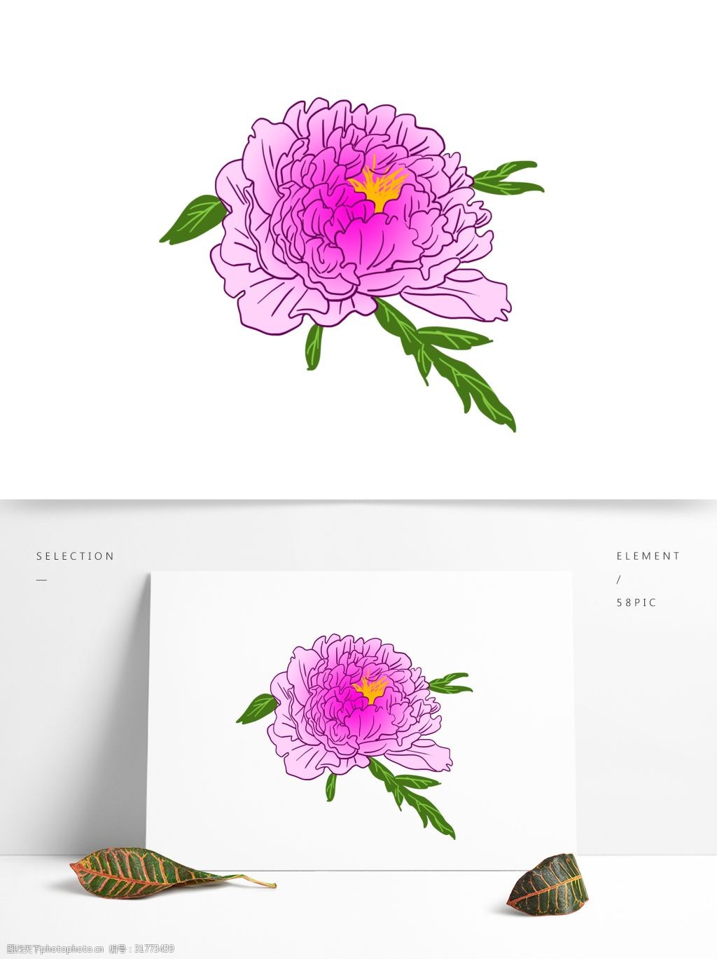 关键词:手绘牡丹花朵插画可商用 花瓣 渐变色 绿叶 花蕊 花朵