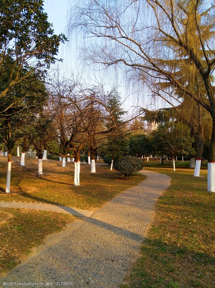 美丽的公园风景