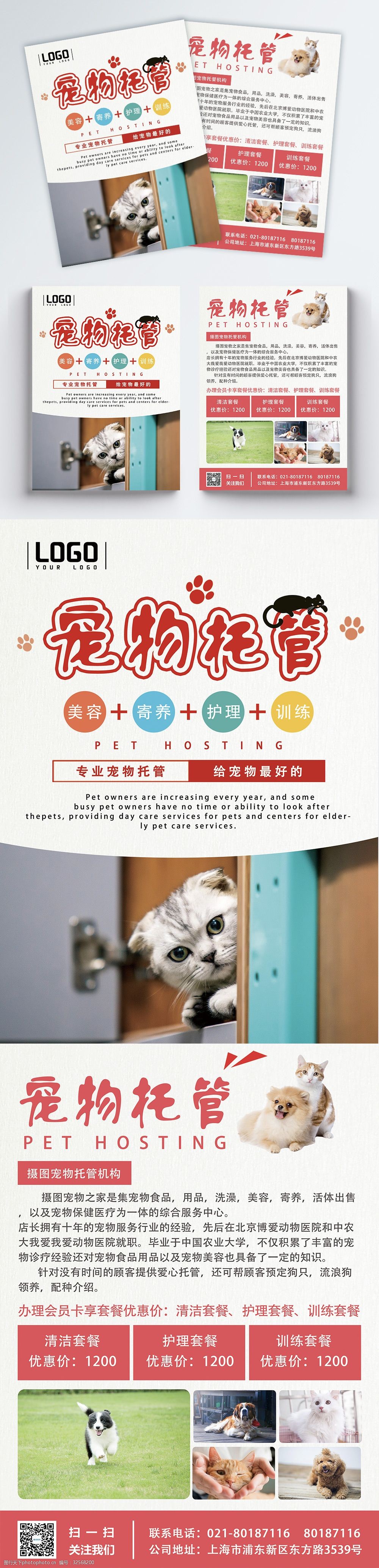 简约宠物托管双页宣传单设计
