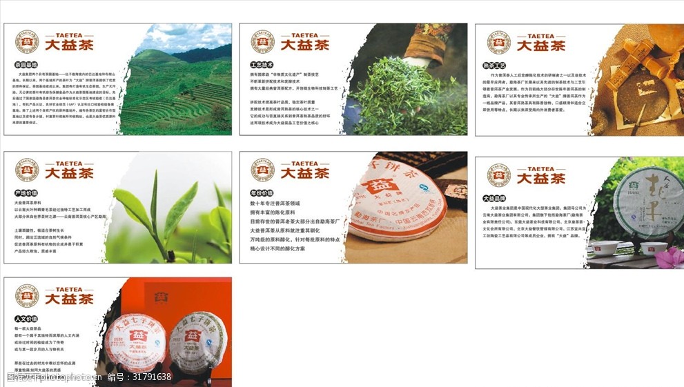 大益茶宣传 茶叶 大益茶 介绍 炒茶 普洱茶 春茶 茶山 茶饼 设计 广告