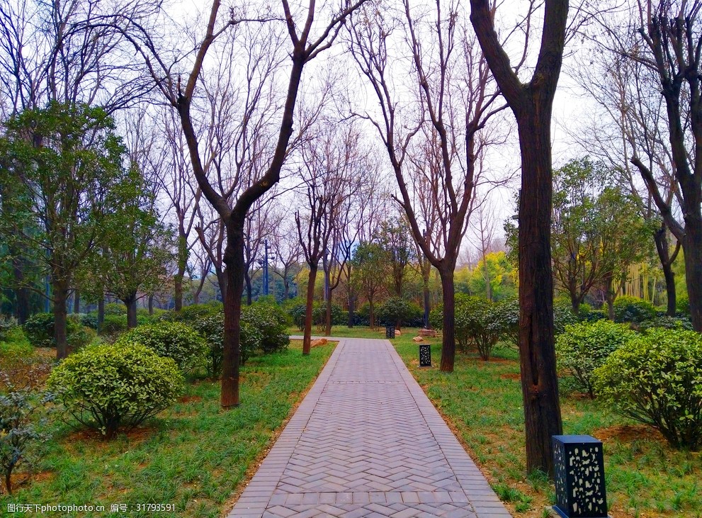 关键词:美丽的公园风景 公园 树木 草地 天空 美景 深秋 多娇江山