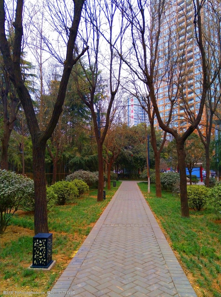 公园 树木 草地 天空 美景 深秋 多娇江山 摄影 自然景观 自然风景 72