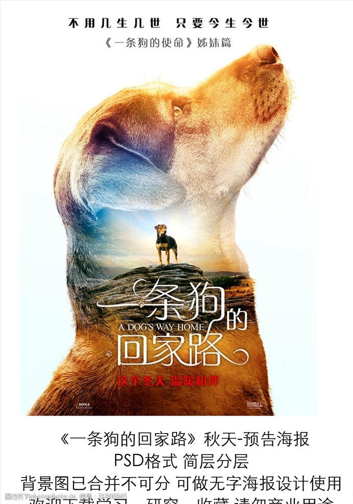 电影一条狗的回家路秋季预告海报