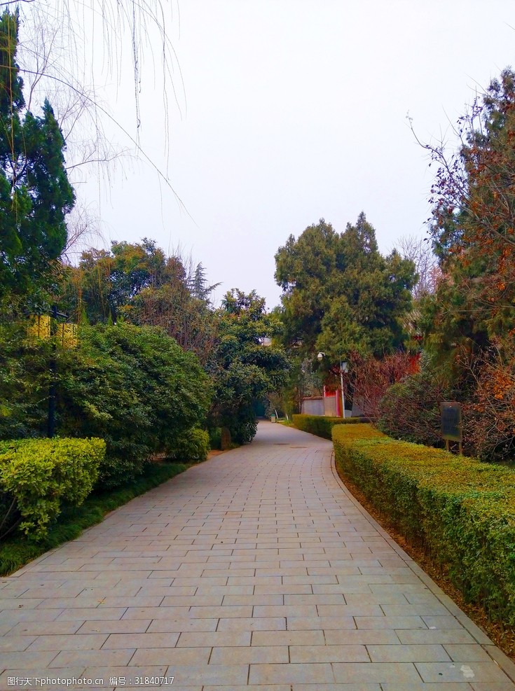 关键词:美丽的公园风景 公园 道路 树木 美景 草地 天空 多娇江山