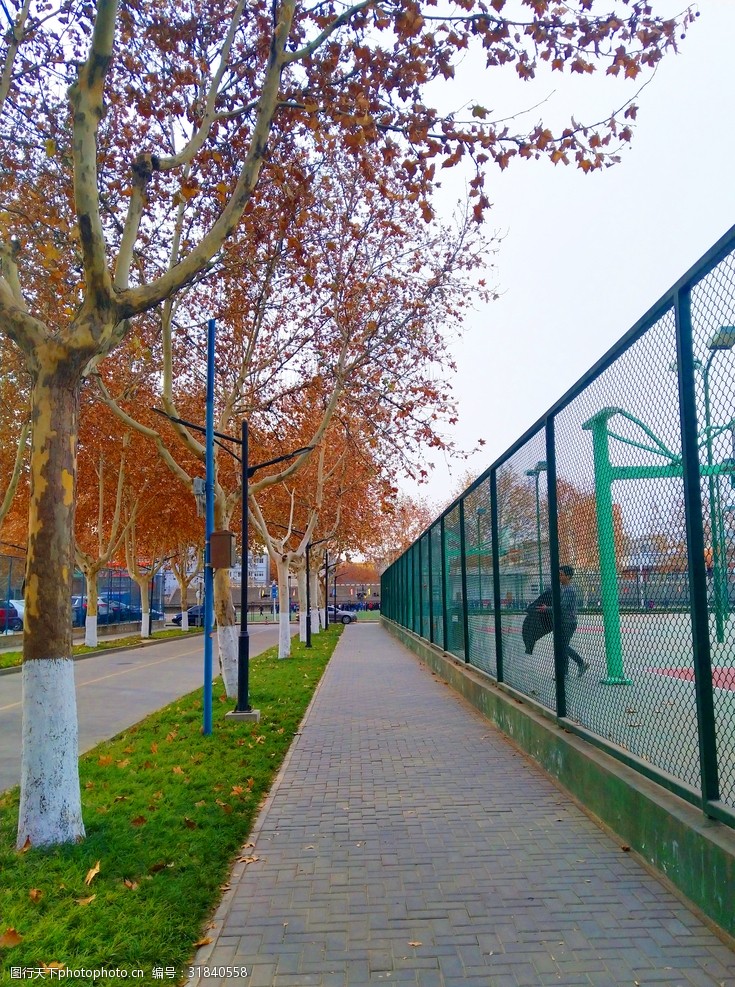 深秋时节的校园风景