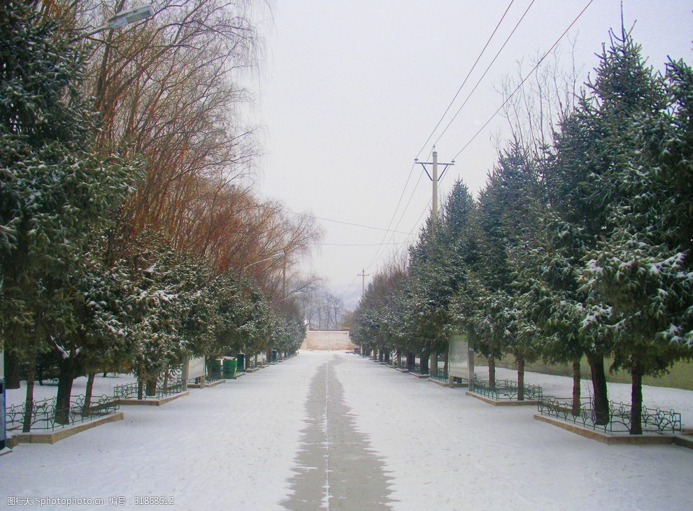 关键词:冬日里的城市街道 冬季 寒冷 大雪 树木 天空 街道 多娇江山