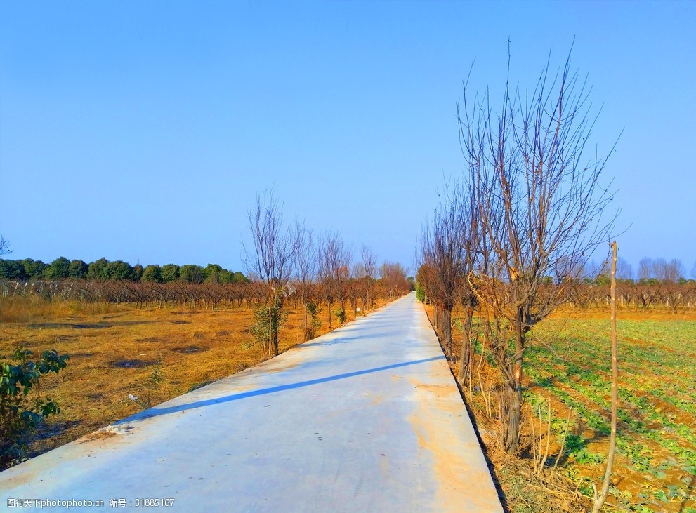 蓝天下的乡村道路风景