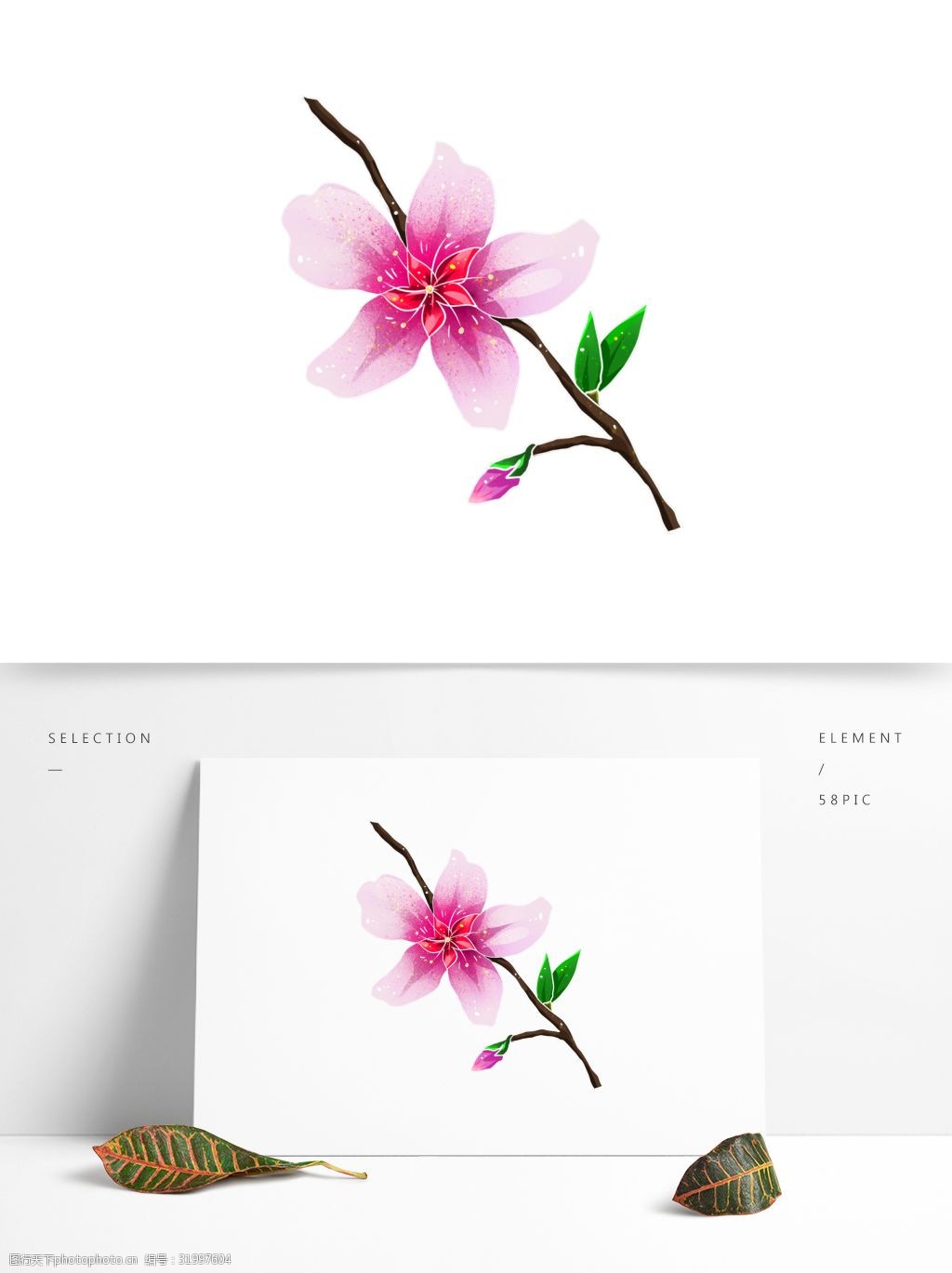 桃花灼灼桃花朵朵开