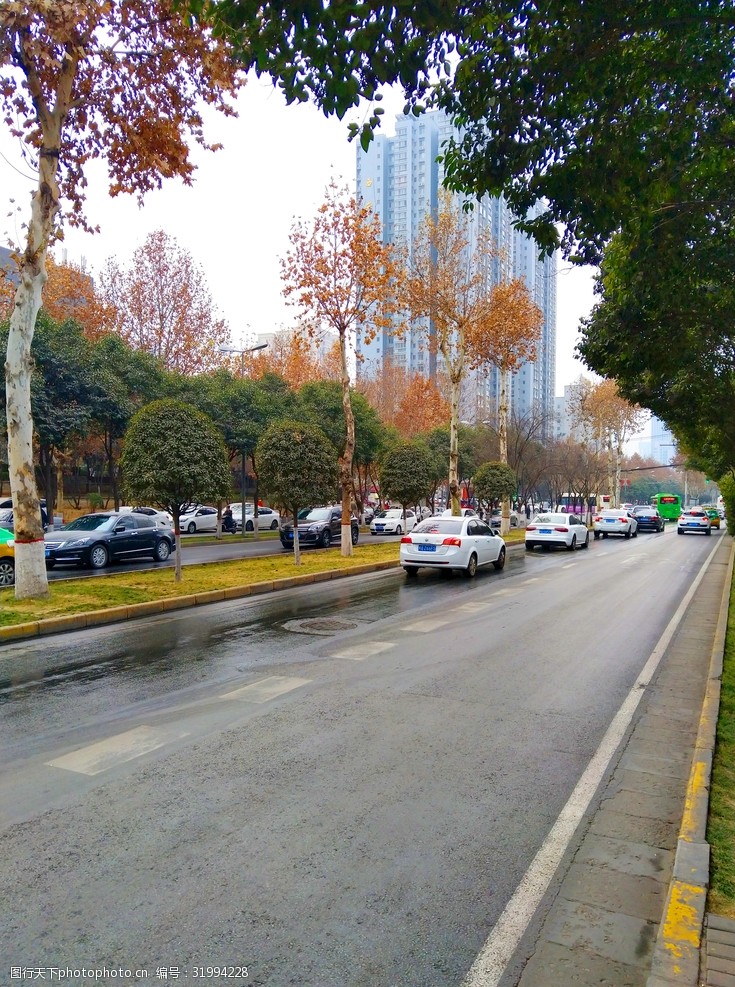 关键词:城市街道风景 城市 街道 树木 行人 汽车 天空 高楼 建筑景观