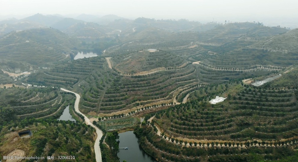 关键词:橘红种植航拍 化州橘红 农业基地 化橘红 农业全景 高空航拍