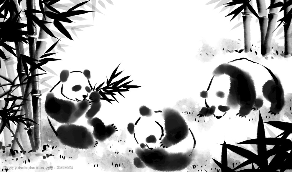 吃竹子的熊猫