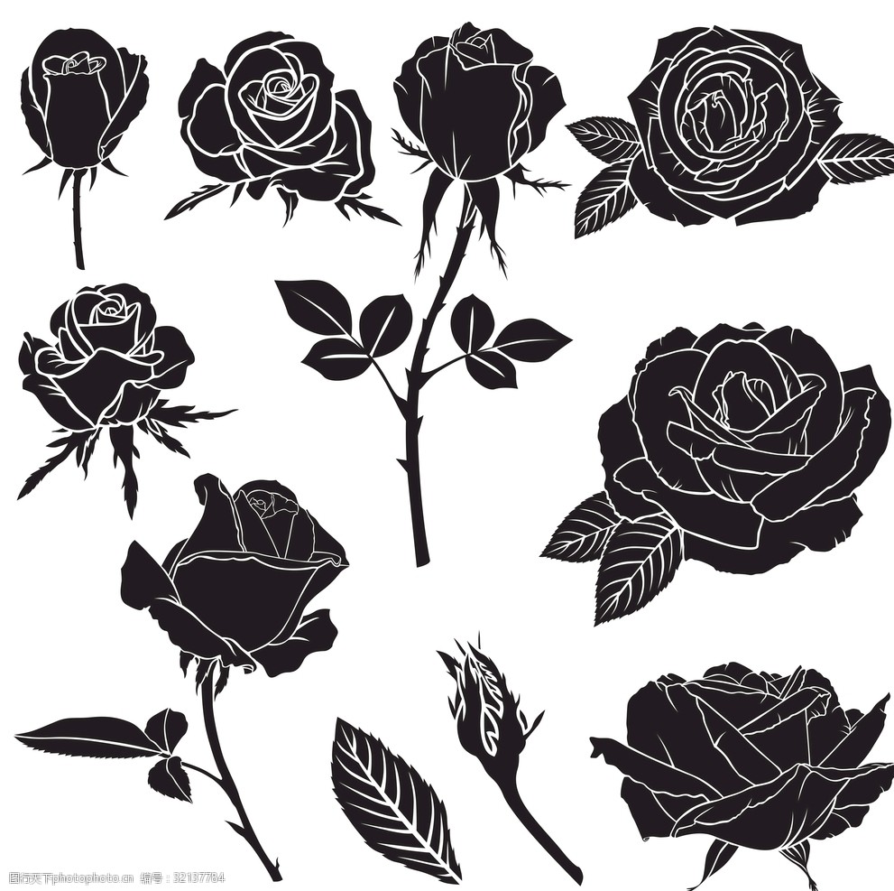 关键词:黑白线条剪影玫瑰花图案 黑白 叶子 玫瑰 剪影 线条 请柬 设计