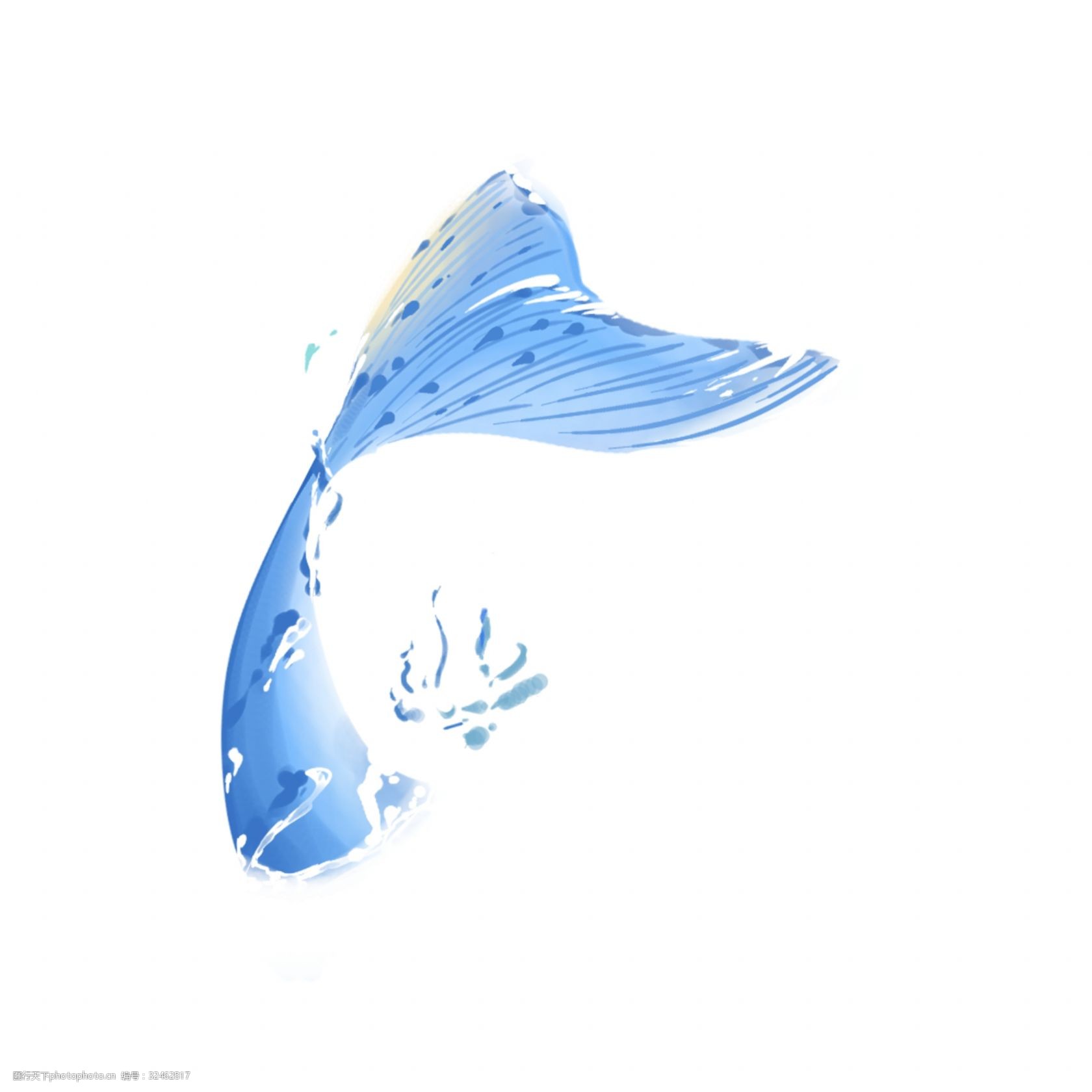 鲸鱼 尾巴 光泽 卡通插画 游泳 小动物 海洋生物 液体 环境 景色 鱼尾