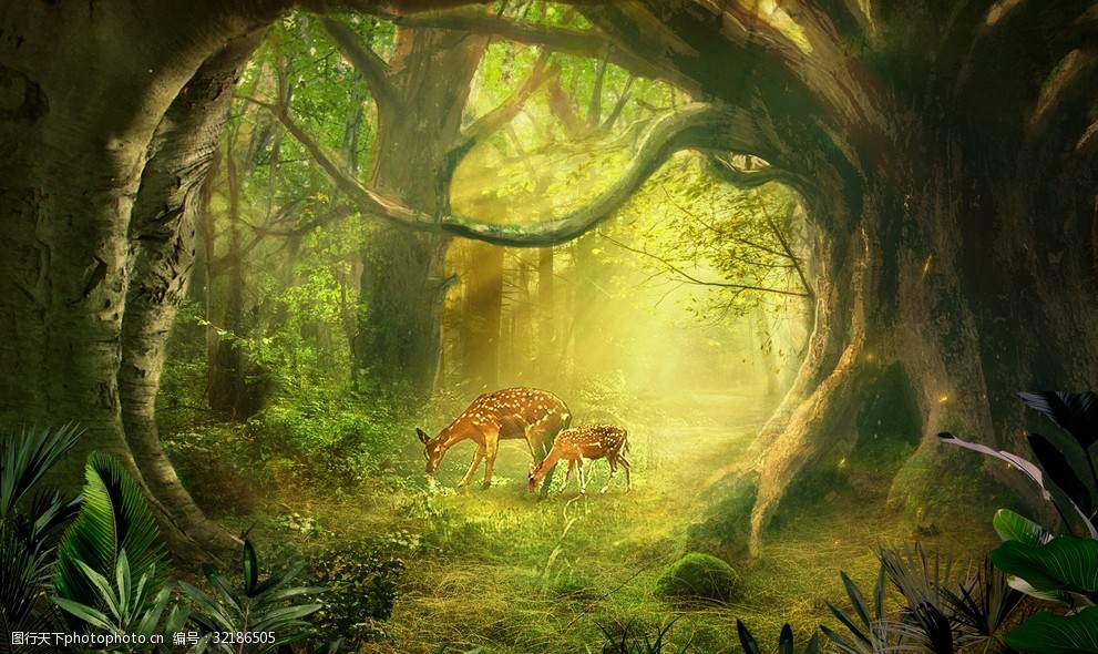 麋鹿梦幻森林