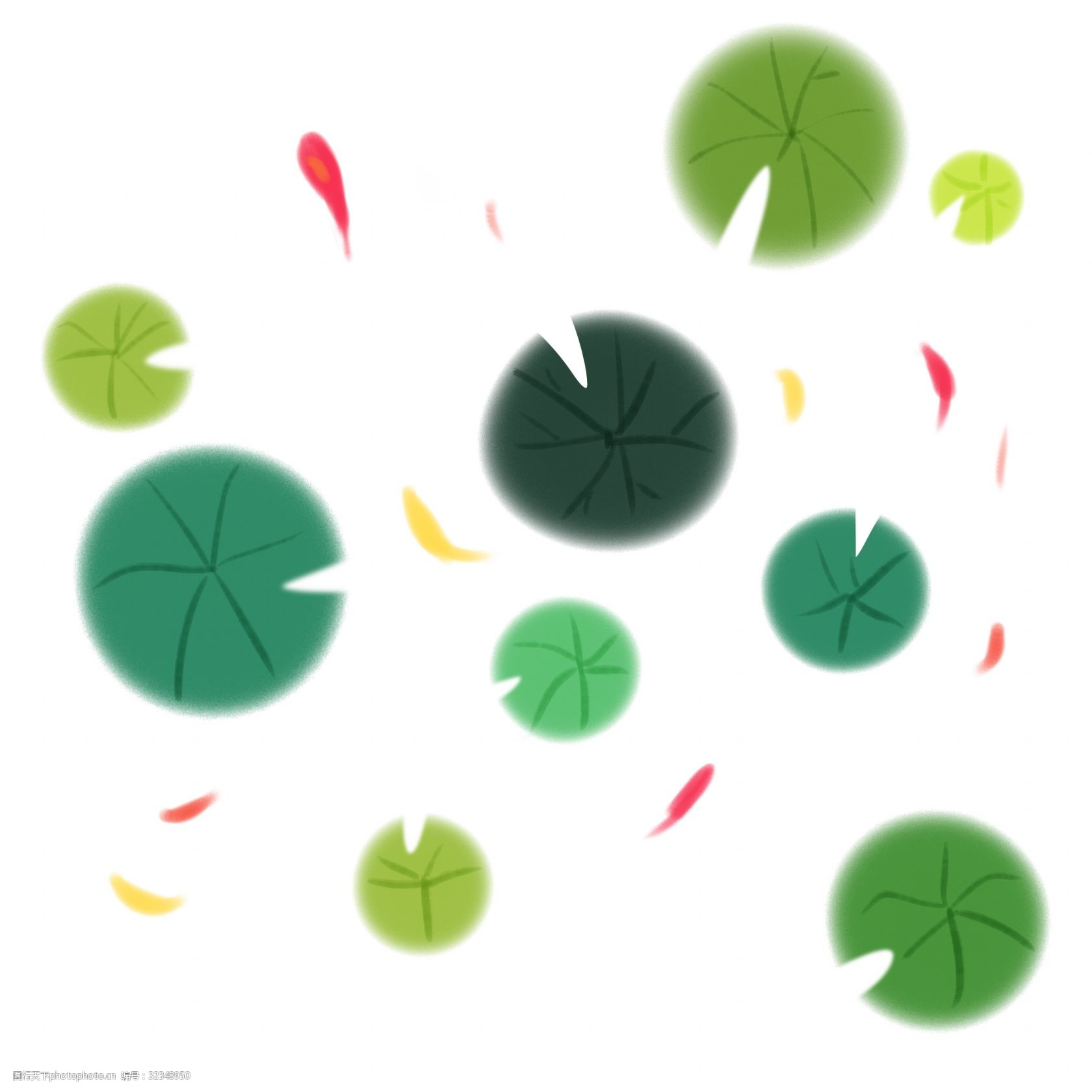 盛开荷花卡通插画