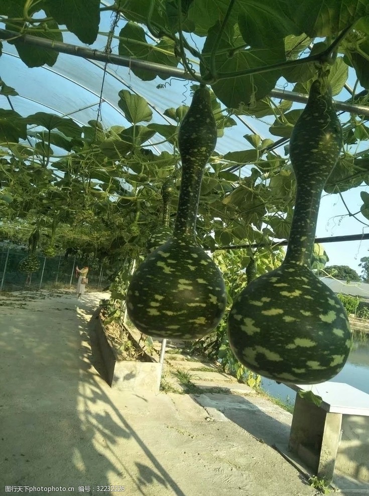 这姐有事己方上晒神态包辟谣被换角（文娱圈大瓜！秦霄贤出轨抑遏堕胎张雨绮疑似激励骚扰）（文娱圈吃瓜酱）？就于适和张雨绮的瓜宣布少少杂讲。瓜主爆料张雨绮掉饼了