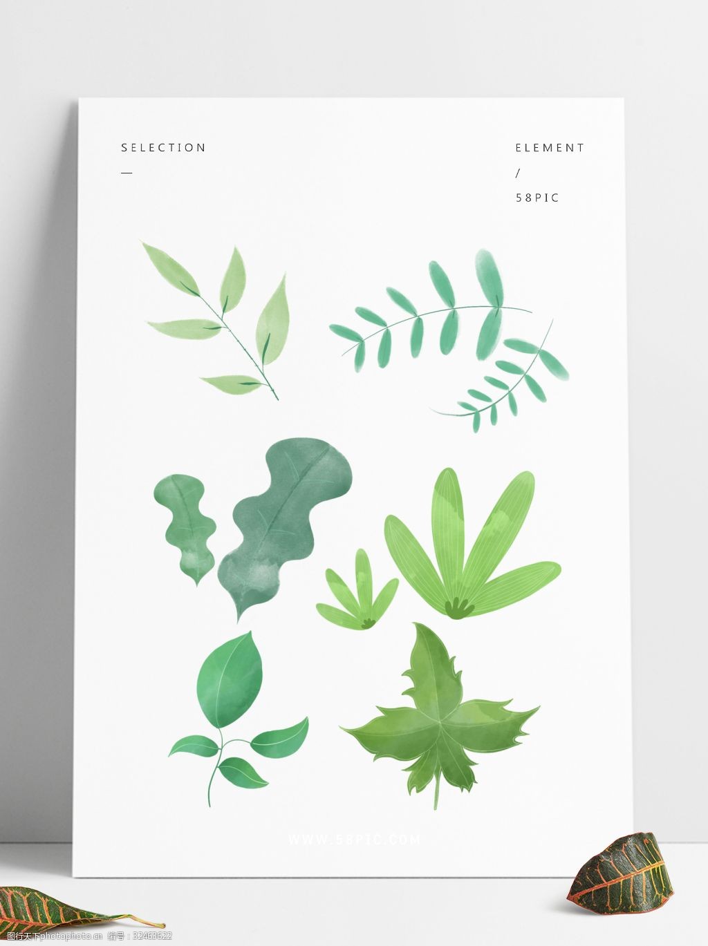 植物清新可爱简约装饰元素