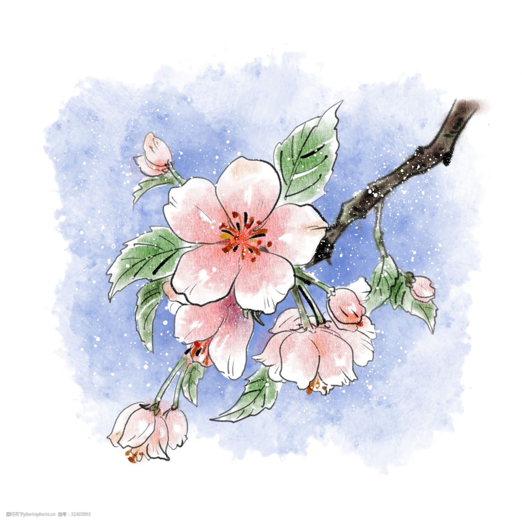 水彩樱花植物花朵小清新春天手绘风萌芽桃花
