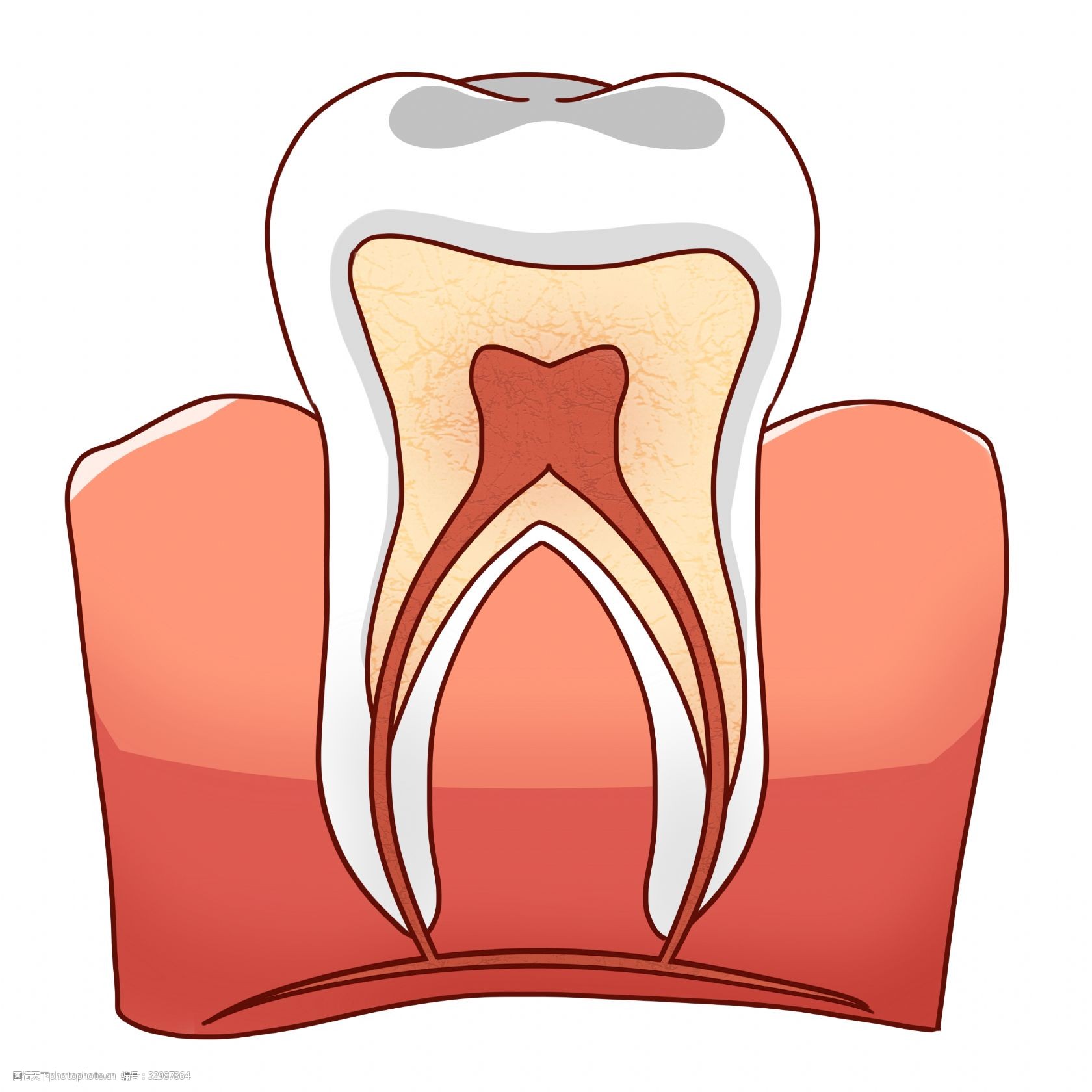 卡通牙齿牙龈插画