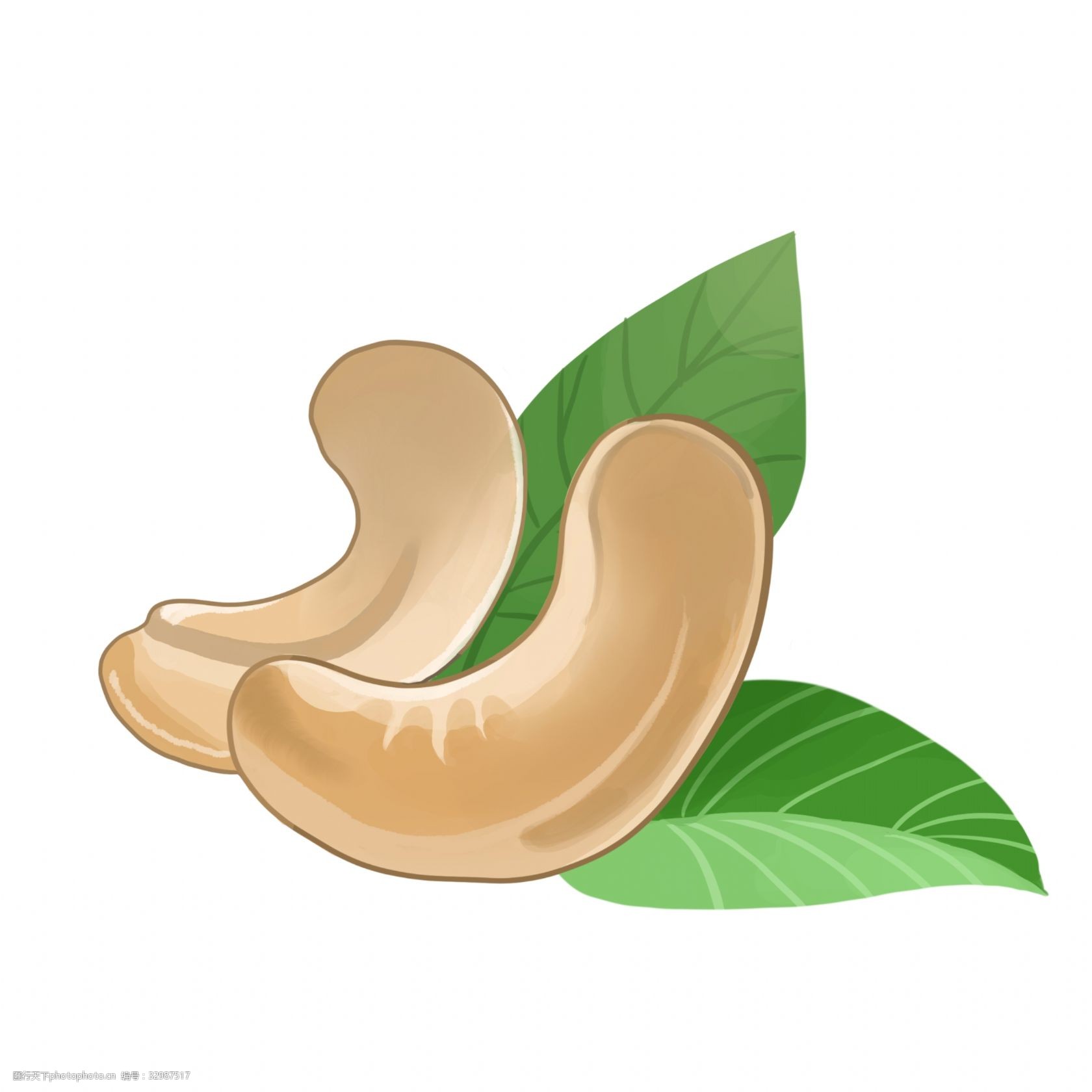 黄色腰果坚果插图
