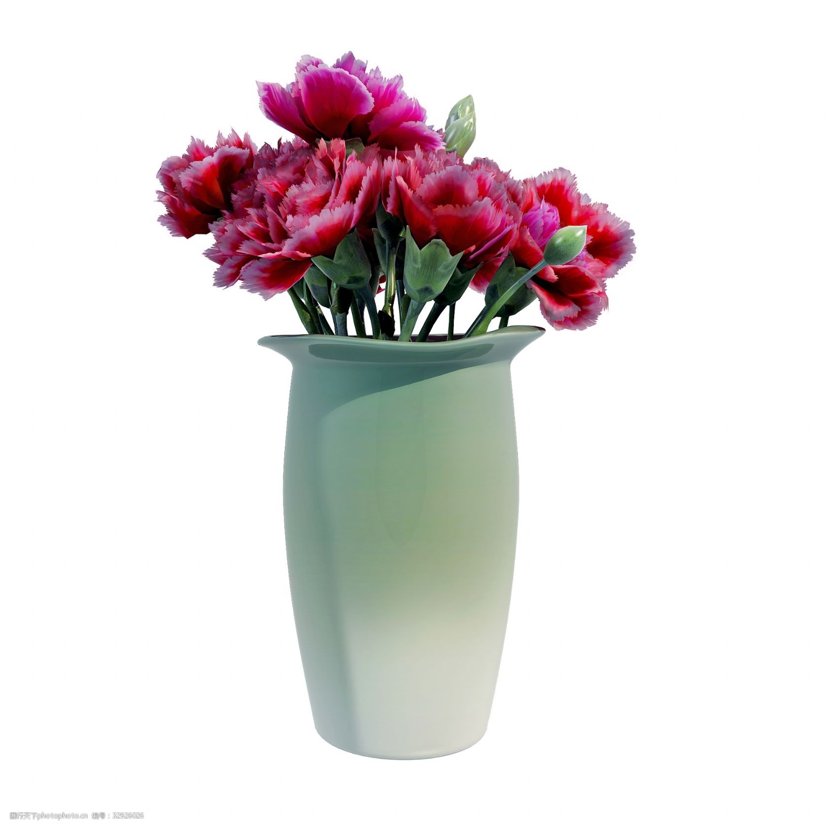 仿真康乃馨png图