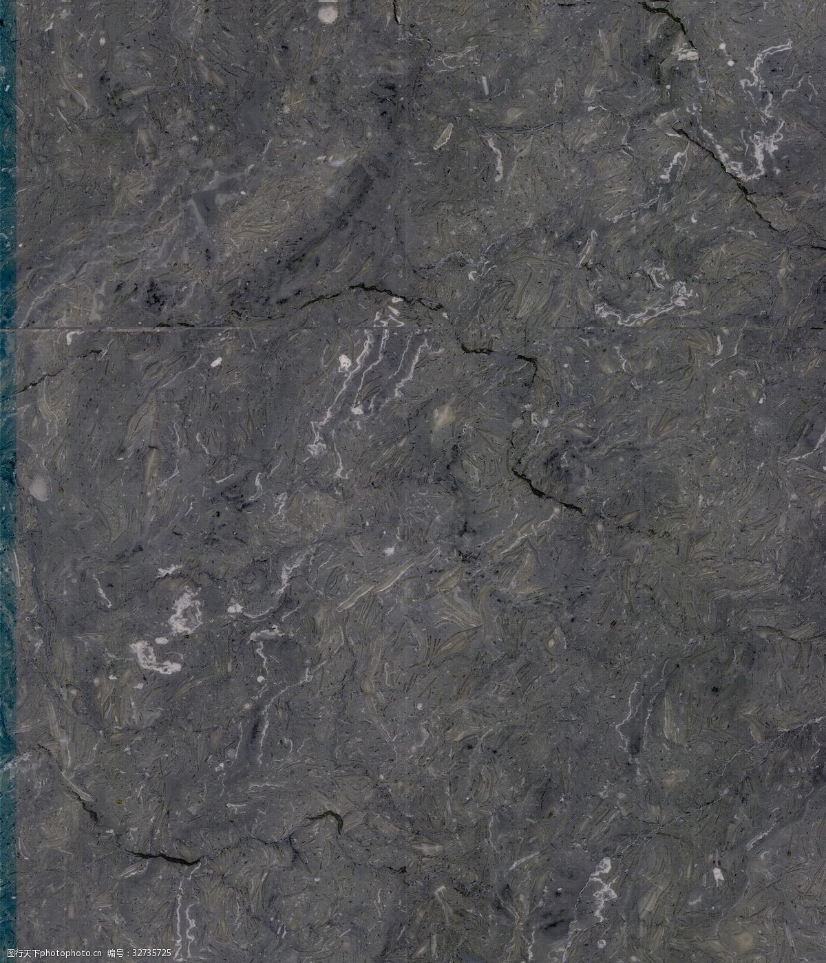 经检查均无生命体征