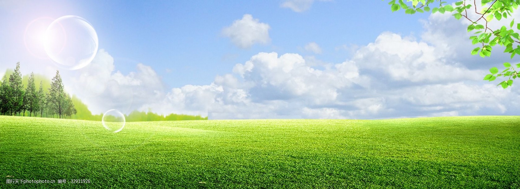 空旷草地清新banner