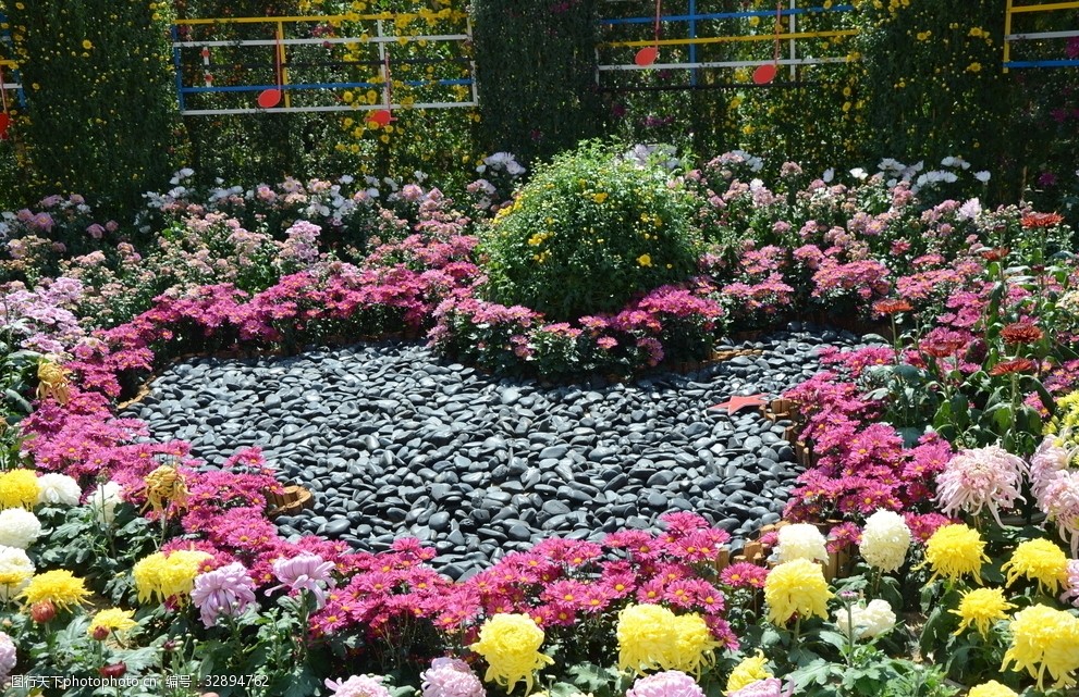 关键词:菊花 自然风光 花草 鲜花 秋天的花 植物 秋 菊 摄影 生物世界