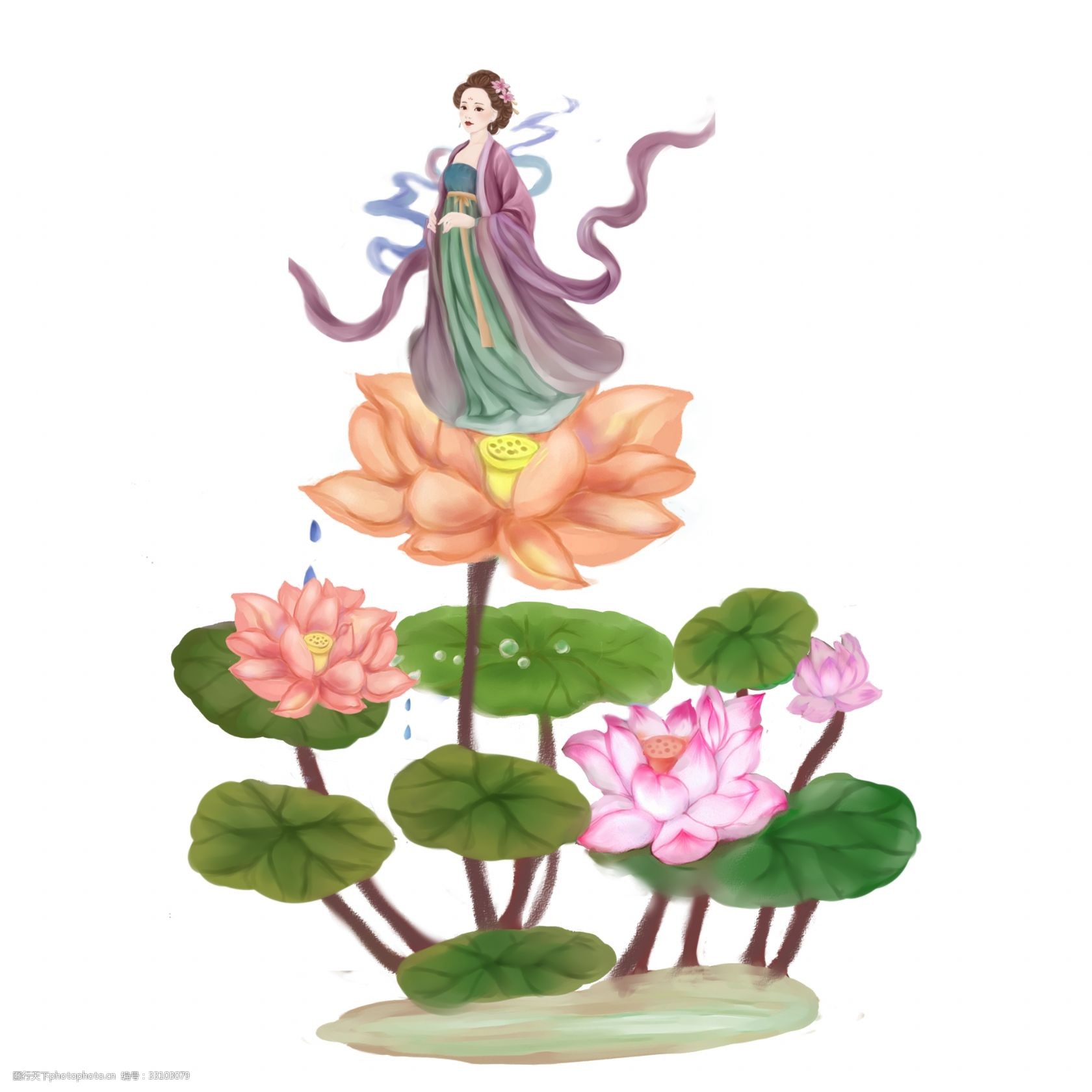 夏季荷花女子