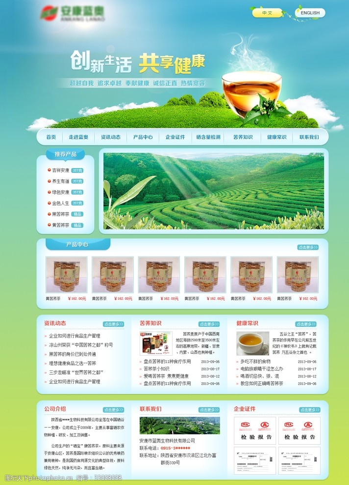网站模板企业网站首页