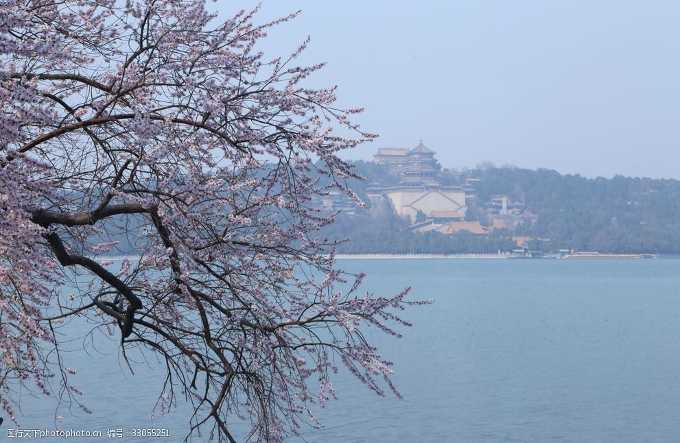 颐和园山桃花