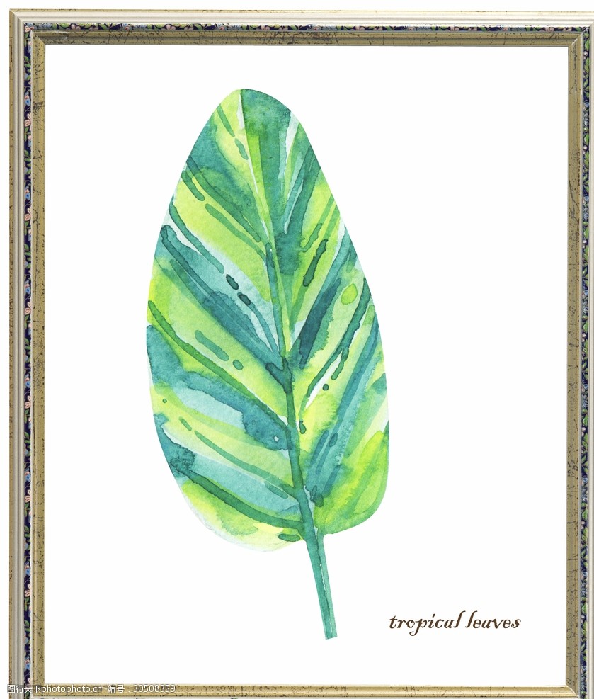 关键词:手绘水彩绿叶插画装饰画 手绘 水彩 绿叶 插画 装饰画 叶子