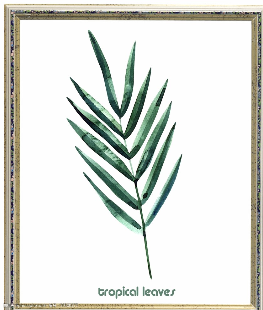 手绘水彩绿叶插画装饰画