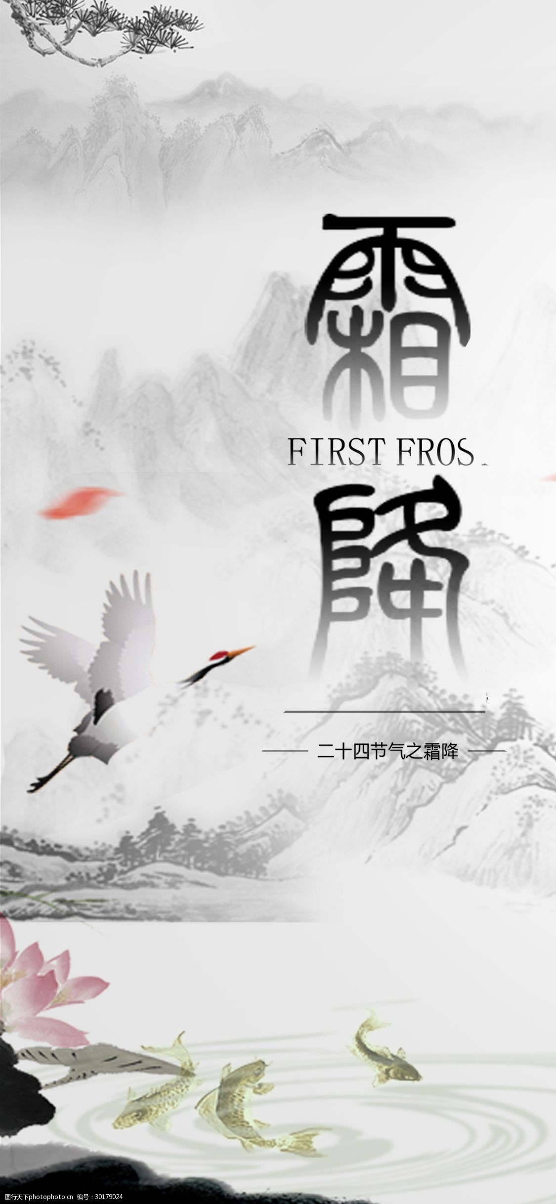 霜降中国24节气白鹤古风