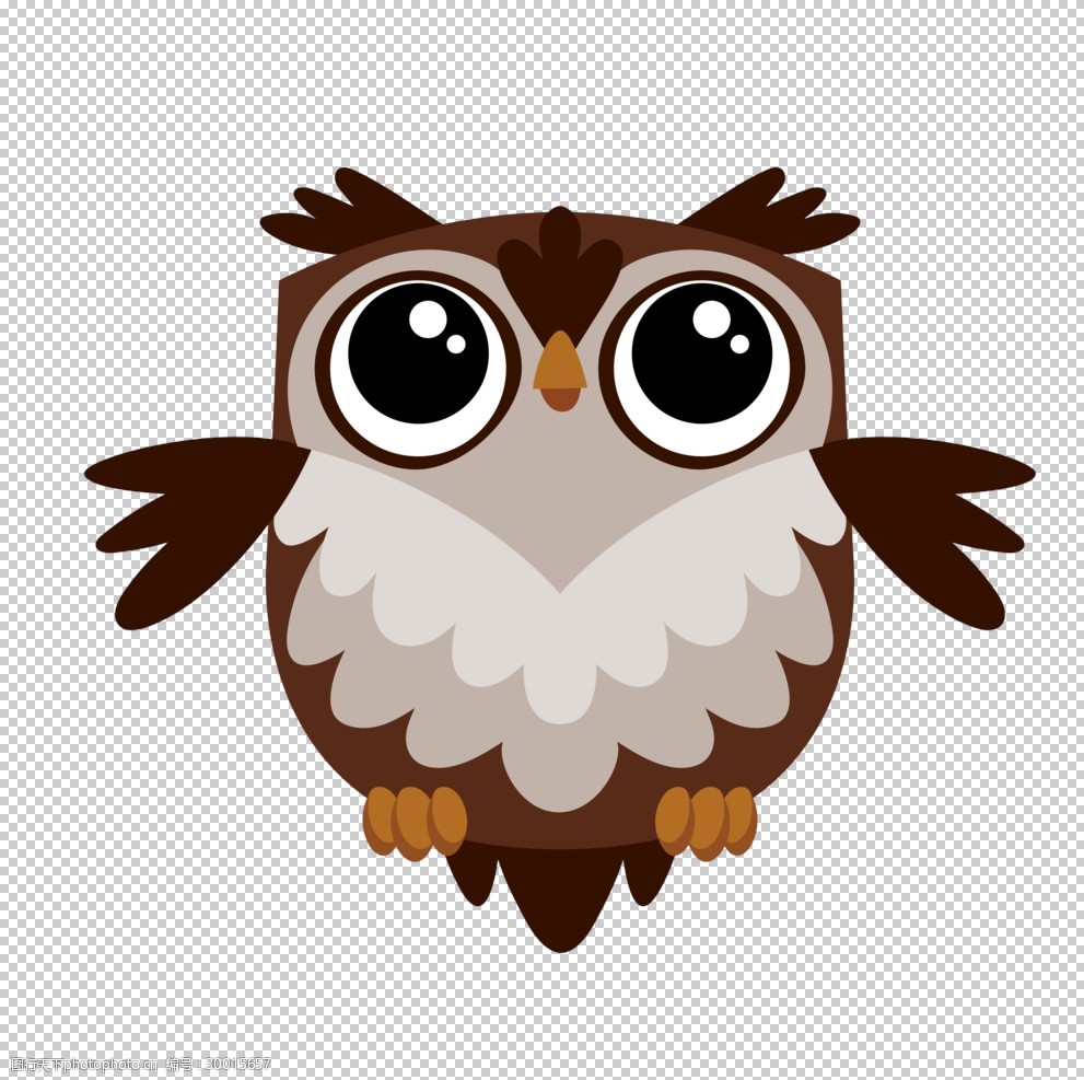 透明底猫头鹰