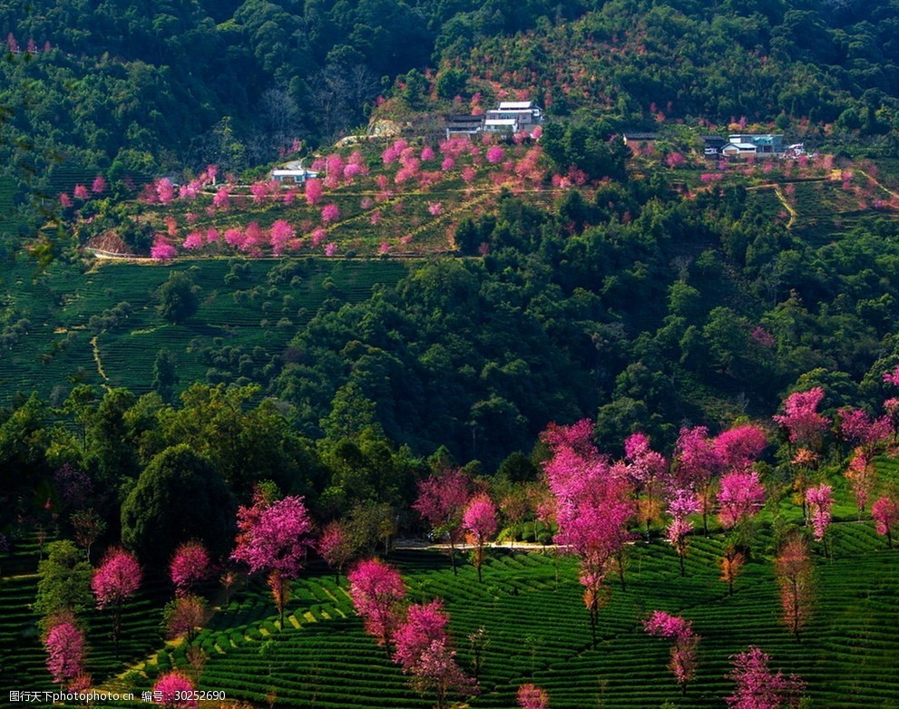 金坪桃花岛全景