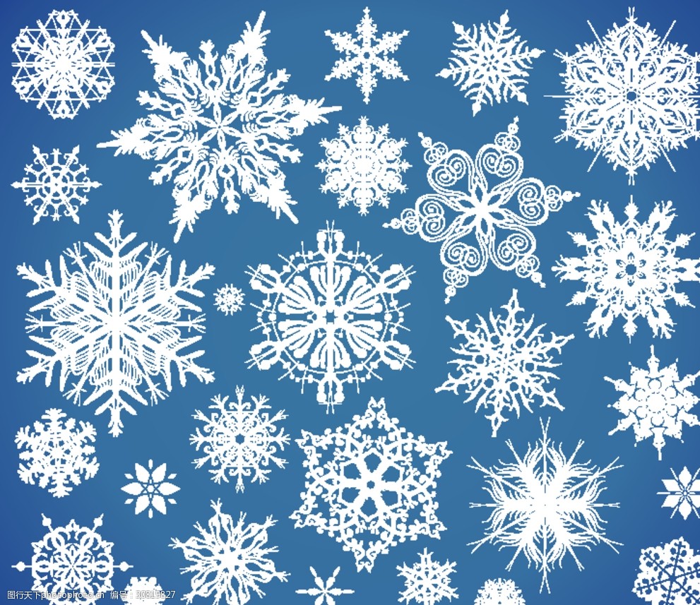 精致细腻雪花矢量素材