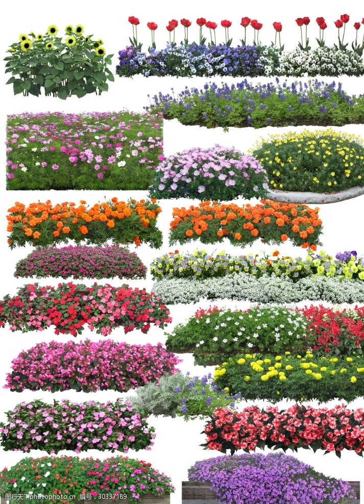 关键词:景区绿色植被 装饰花 盆栽 景区绿化 植被 冬青 广告素材 设计