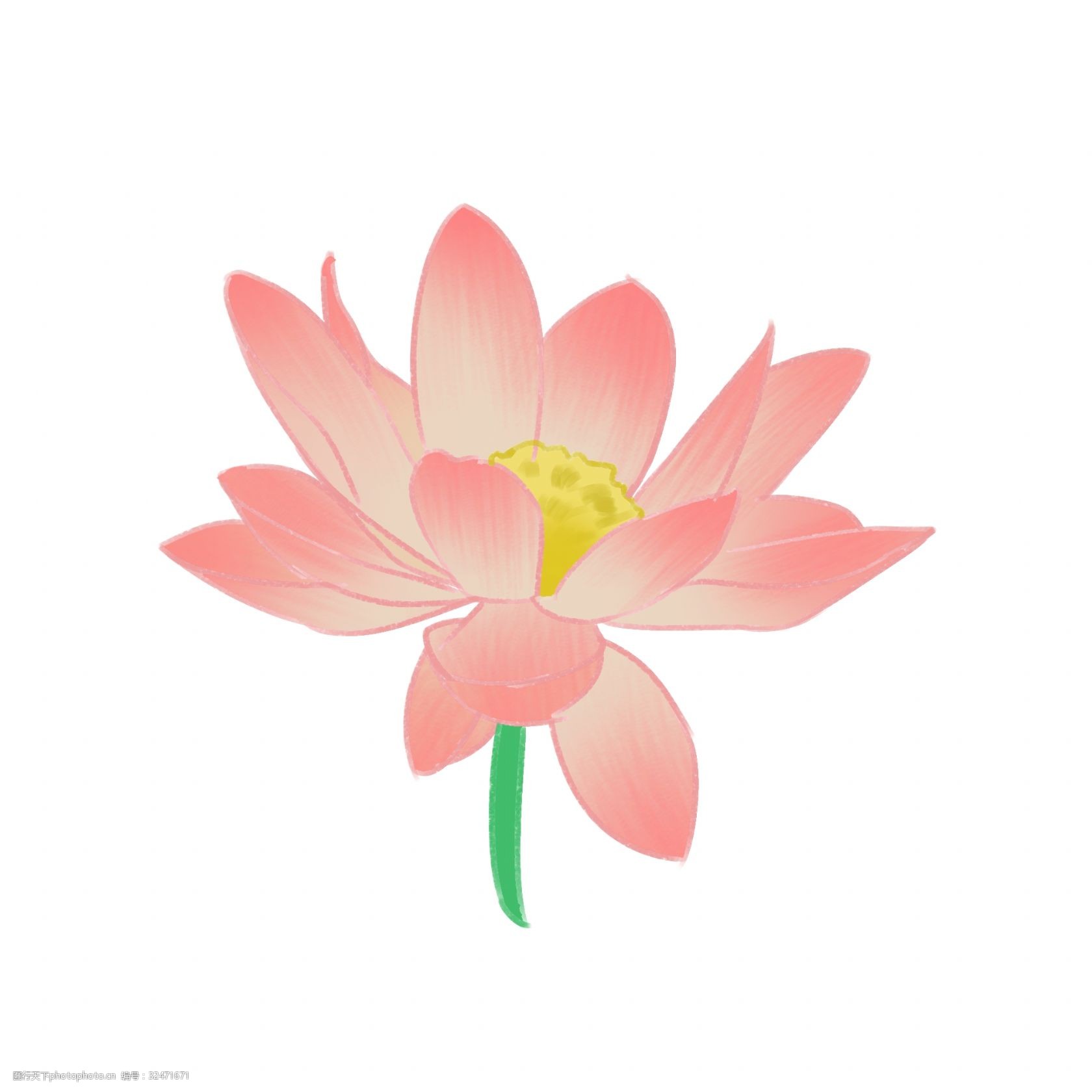 小清新夏日手绘荷花荷叶