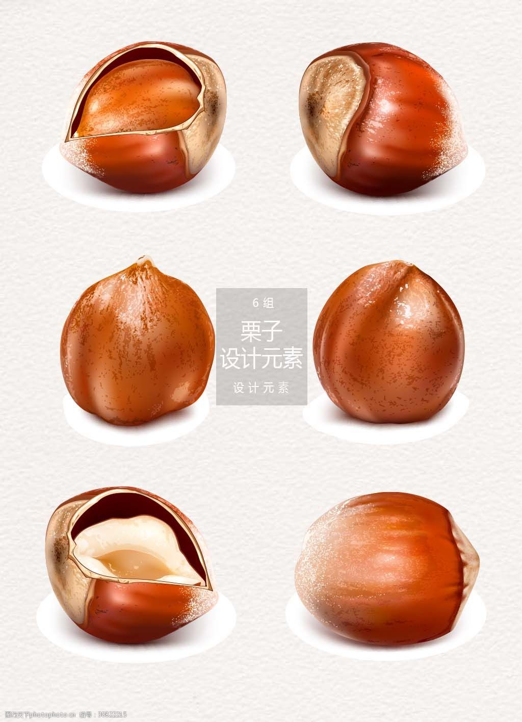 栗子坚果设计元素