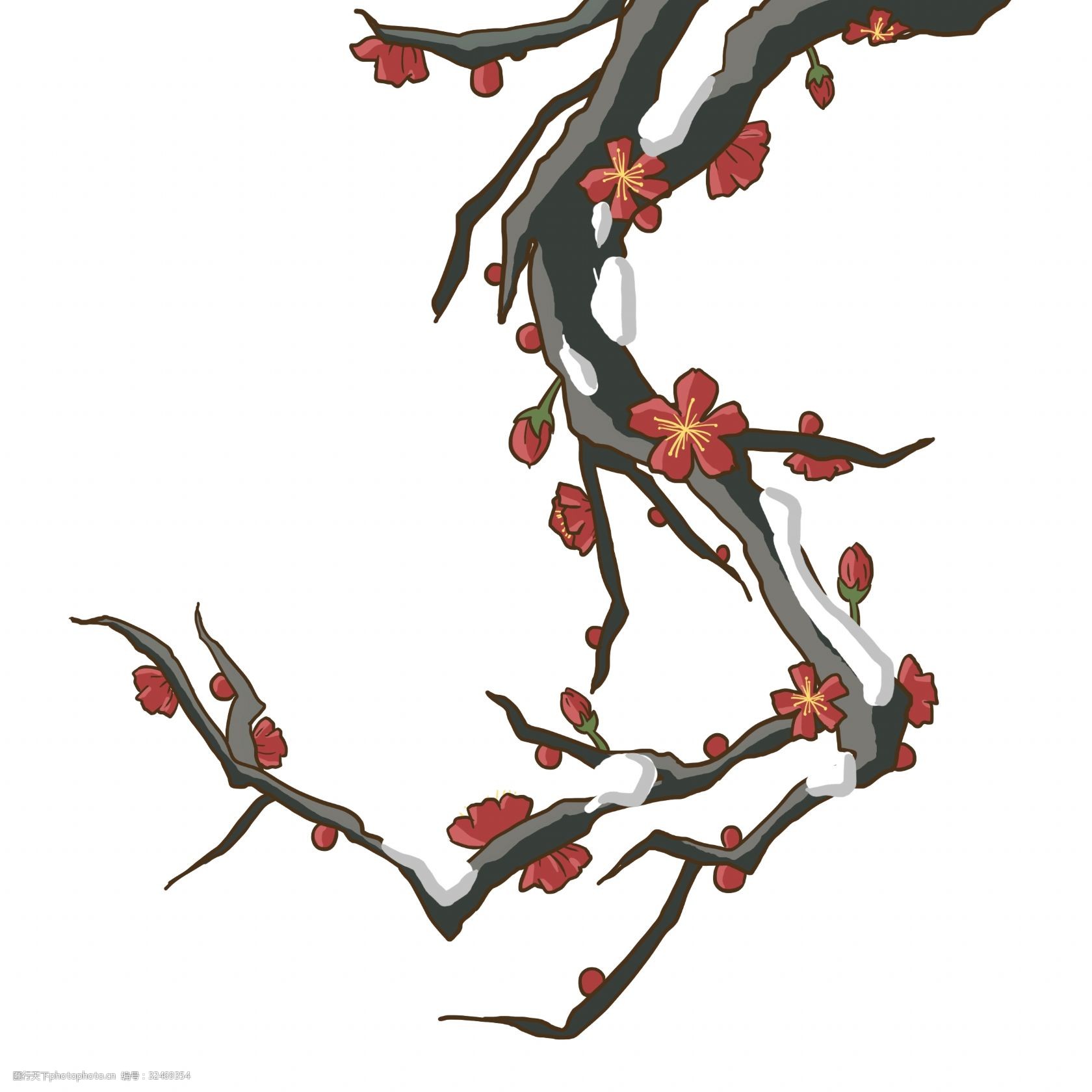 手绘雪中梅花枝插画